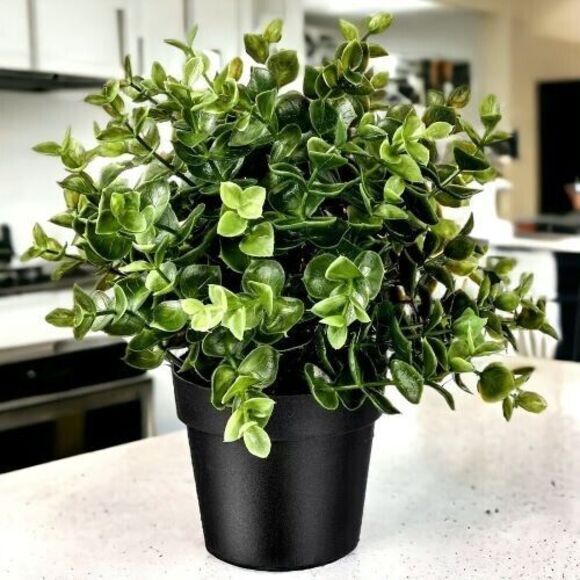 IKEA FEJKA Artificial Potted Plant Oregano 3 ½ " - Picture 3 of 7